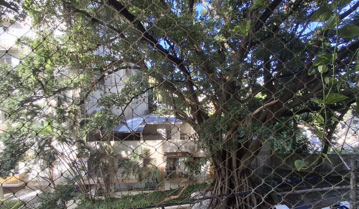 WhatsApp Image 2025-06-16 at 08.08.13 (5)